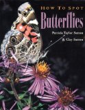 How to Spot Butterflies
