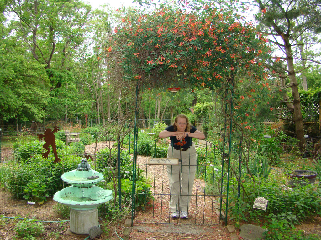 Wildlife habitat garden in May