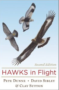 Hawks in Flight, 2nd Edition