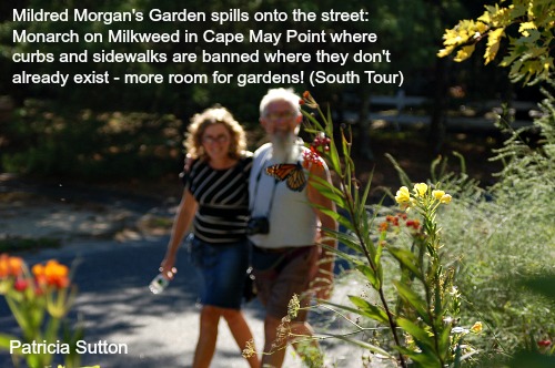 September Tour 2013