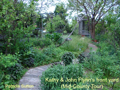 May 18, 2013: The Springtime Garden