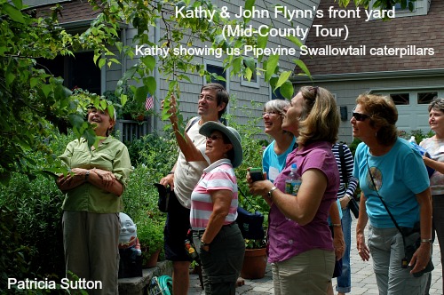 August Tour 2013
