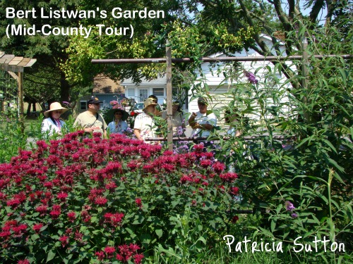 Bert'sGDN-w-signature