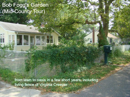 Bob Fogg's GDN 1 w-sig