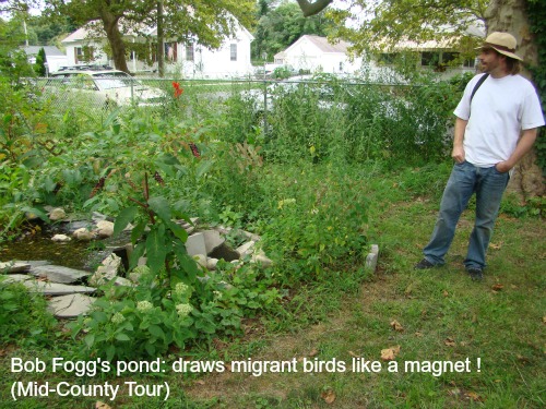 BobFogg pond-w-sig