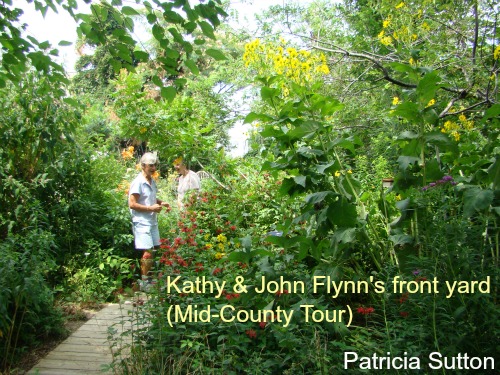 KathyFlynn GDN 2 w-sig.jpg