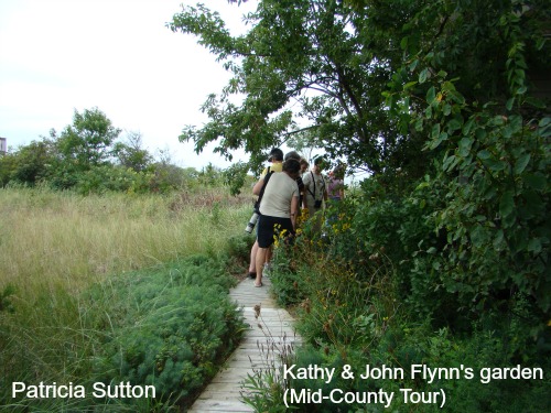 KathyFlynn w-sig.jpg