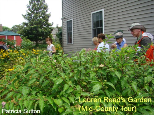 LaurenReadGDN w-sig.jpg