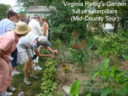 Virginia Rettig 2 -w-sig.jpg