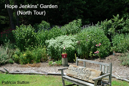 July Tour 2013