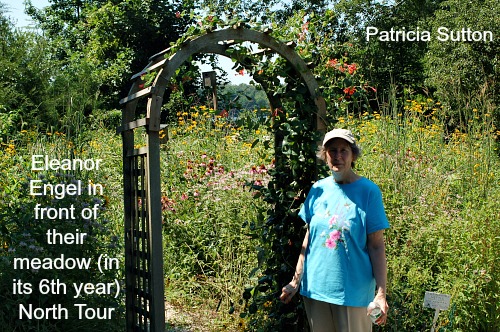 July Tour 2013