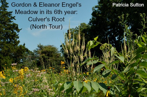 July Tour 2013
