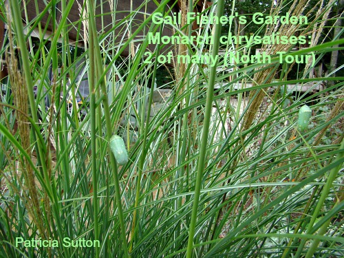 September Tour 2011